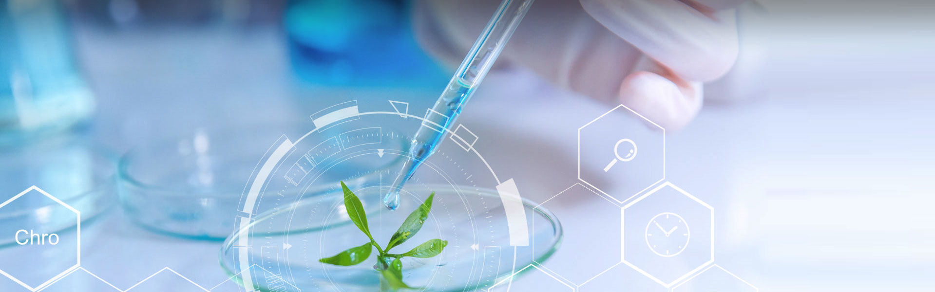 R&D and Registration
